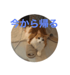 @日常会話スタンプ（個別スタンプ：3）