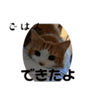 @日常会話スタンプ（個別スタンプ：6）