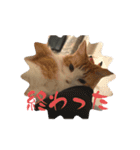@日常会話スタンプ（個別スタンプ：12）