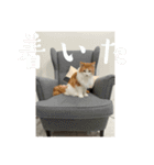 @日常会話スタンプ（個別スタンプ：19）