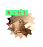 @日常会話スタンプ（個別スタンプ：21）