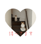 @日常会話スタンプ（個別スタンプ：23）