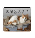 @日常会話スタンプ（個別スタンプ：24）