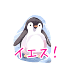 ふんわりペンギンず（個別スタンプ：2）