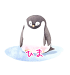 ふんわりペンギンず（個別スタンプ：6）