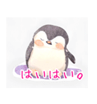 ふんわりペンギンず（個別スタンプ：22）