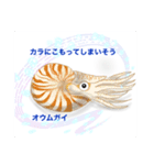 ゆかいな深海魚？たち（個別スタンプ：7）