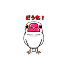 白文鳥でんす！（個別スタンプ：1）