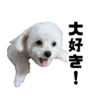 漢犬ケン3（個別スタンプ：7）