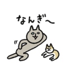 シュッとしたネコ うちなーぐち(沖縄方言)（個別スタンプ：31）