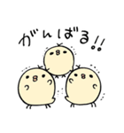 しろぴよ。（個別スタンプ：6）