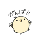 しろぴよ。（個別スタンプ：32）