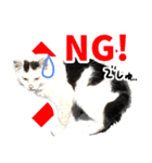 前髪猫らい（個別スタンプ：2）