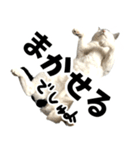 前髪猫らい（個別スタンプ：16）