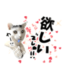 前髪猫らい（個別スタンプ：20）