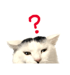 前髪猫らい（個別スタンプ：30）