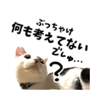 前髪猫らい（個別スタンプ：32）