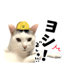 前髪猫らい（個別スタンプ：34）