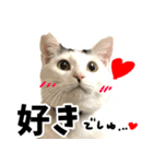 前髪猫らい（個別スタンプ：39）