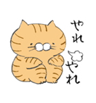 ごはんねこスタンプ3（個別スタンプ：19）