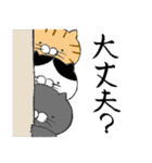 ごはんねこスタンプ3（個別スタンプ：34）