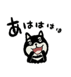 【でか文字】冬の黒い柴犬さん/大人丁寧（個別スタンプ：24）