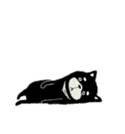 【でか文字】冬の黒い柴犬さん/大人丁寧（個別スタンプ：34）