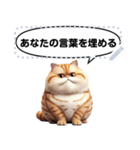 Message Stickers (Tabby Cats) JP（個別スタンプ：2）