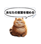 Message Stickers (Tabby Cats) JP（個別スタンプ：5）