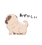 パグの子犬♡（個別スタンプ：20）