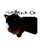 黒猫 ルナ院長128にゃんめ（個別スタンプ：4）