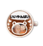 孝平のクセの強いスタンプ＾＾（個別スタンプ：7）