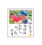 孝平のクセの強いスタンプ＾＾（個別スタンプ：22）