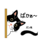 猫の手きゃわきゃわ（個別スタンプ：17）