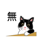 猫の手きゃわきゃわ（個別スタンプ：22）