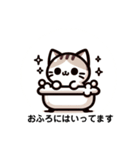 ねこねこスタンプ16こ（個別スタンプ：5）