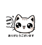 ねこねこスタンプ16こ（個別スタンプ：13）