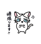 福を呼ぶ！！かぎしっぽねこ大ちゃんの冬（個別スタンプ：10）