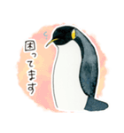 かわいいペンギンたちのスタンプ（個別スタンプ：1）