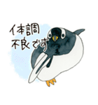 かわいいペンギンたちのスタンプ（個別スタンプ：13）