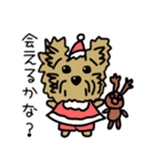 ほんわか犬のクリスマス♡ヨークシャテリア（個別スタンプ：17）