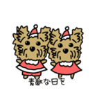 ほんわか犬のクリスマス♡ヨークシャテリア（個別スタンプ：20）