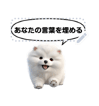 Message Stickers (Samoyed Dogs) JP（個別スタンプ：1）