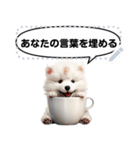 Message Stickers (Samoyed Dogs) JP（個別スタンプ：2）