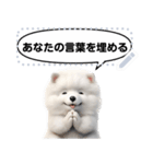 Message Stickers (Samoyed Dogs) JP（個別スタンプ：4）