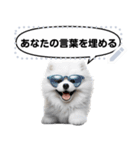 Message Stickers (Samoyed Dogs) JP（個別スタンプ：5）