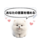 Message Stickers (Samoyed Dogs) JP（個別スタンプ：6）