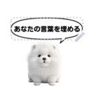 Message Stickers (Samoyed Dogs) JP（個別スタンプ：7）