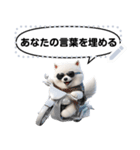 Message Stickers (Samoyed Dogs) JP（個別スタンプ：9）