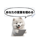 Message Stickers (Samoyed Dogs) JP（個別スタンプ：11）